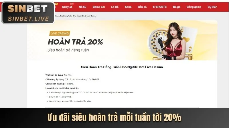 Hệ thống theo dõi hiệu suất vando88 win